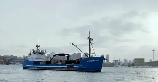 El estado más frío de EE. UU. ofrece oportunidades de empleo para pescadores y marineros