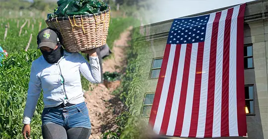 Trabaja cosechando en Estados Unidos: opciones disponibles