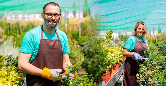 Con y sin Experiencia se Busca Ayudante de Invernadero